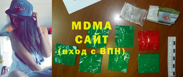 индика Няндома