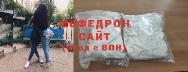 индика Няндома