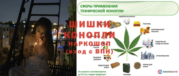 PSILOCYBIN Нягань