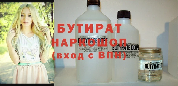 индика Няндома