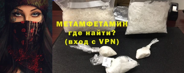 индика Няндома