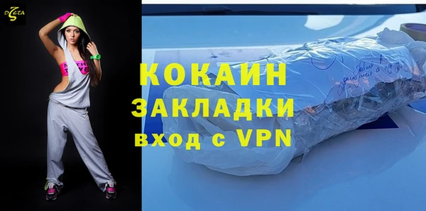 индика Няндома