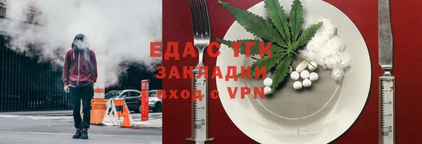 индика Няндома
