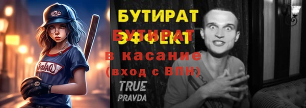 индика Няндома