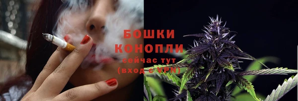 PSILOCYBIN Нягань