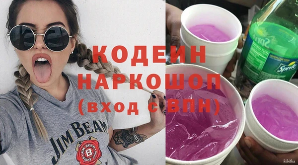 индика Няндома