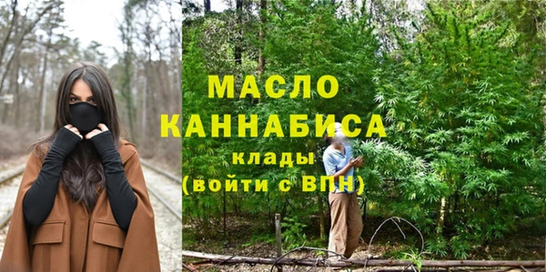 индика Няндома