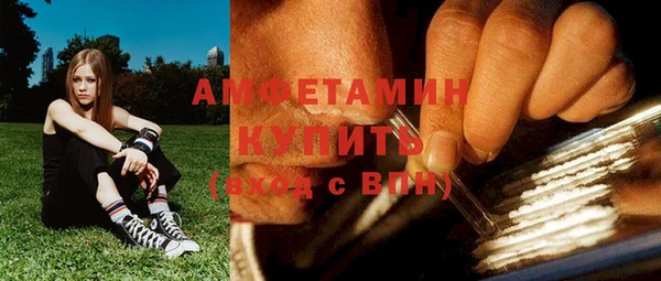 индика Няндома