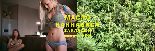 индика Няндома