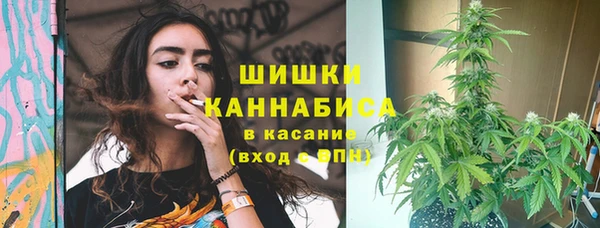 PSILOCYBIN Нягань