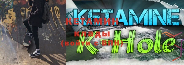 индика Няндома