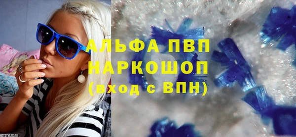 индика Няндома