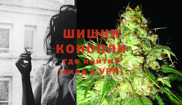 PSILOCYBIN Нягань