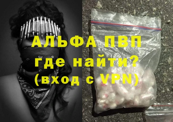 индика Няндома