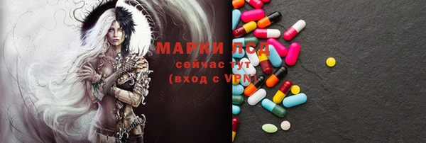 индика Няндома