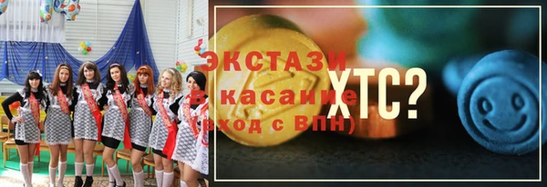 индика Няндома