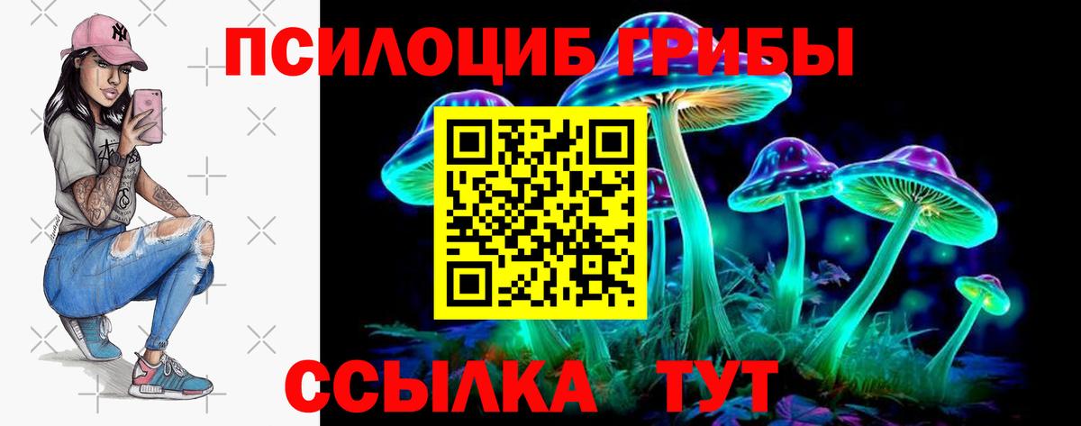 Галлюциногенные грибы прущие грибы Боровичи