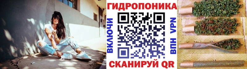 Бошки Шишки Amnesia  MEGA   Боровичи 
